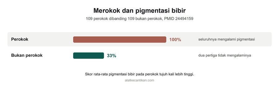 Grafik penelitian 109 perokok dibanding 109 bukan perokok: seluruh perokok mengalami pigmentasi bibir, sementara dua pertiga bukan perokok tidak mengalaminya