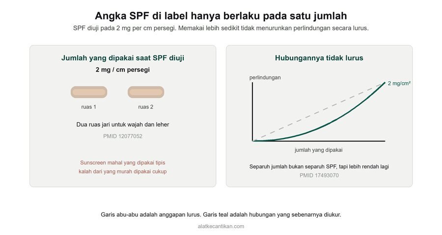 Diagram jumlah sunscreen: SPF diuji pada 2 mg per cm persegi setara dua ruas jari untuk wajah dan leher, dan grafik menunjukkan hubungan antara jumlah yang dipakai dan perlindungan tidak lurus
